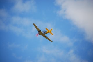 DSC-5276-P-51