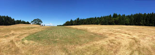Hoadley-Field-2014-06-30